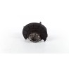 MONTANTE SOSP. ANT. SX. 030 VOLKSWAGEN GOLF (5K/AJ) (09/08-) CFF 1K0407255AA