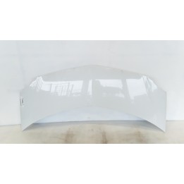COFANO ANT. 124 RENAULT MODUS 2A SERIE (01/08-06/13) D4FD7 651001535R