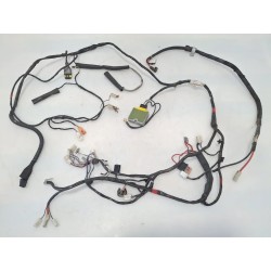 Cablaggio impianto elettrico telaio Piaggio Free 100 (E1) Free 100 
