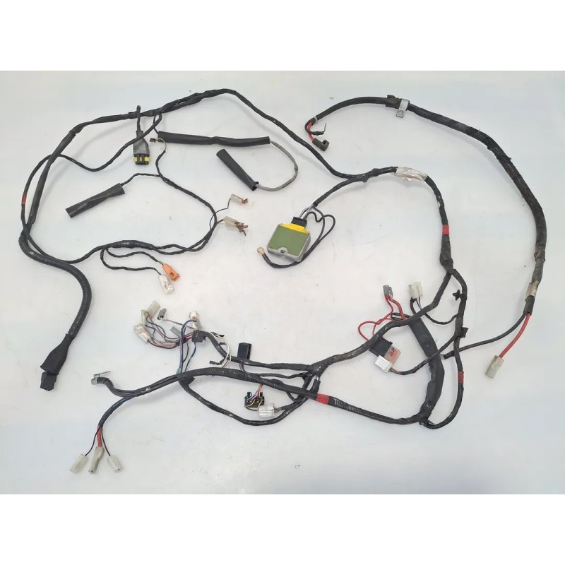 Cablaggio impianto elettrico telaio Piaggio Free 100 (E1) Free 100 