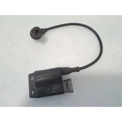 Bobina Piaggio Free 100 (E1) Free 100 