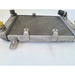 Radiatore Suzuki AN Burgman 400 (E2) AN Burgman 400 