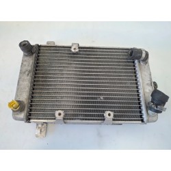 Radiatore Suzuki AN Burgman 400 (E2) AN Burgman 400 