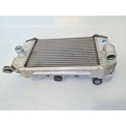 Radiatore Kawasaki KLX 250 KLX 250 Sinistro