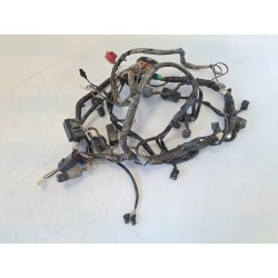 Cablaggio impianto elettrico telaio Kawasaki KLX 250 KLX 250 