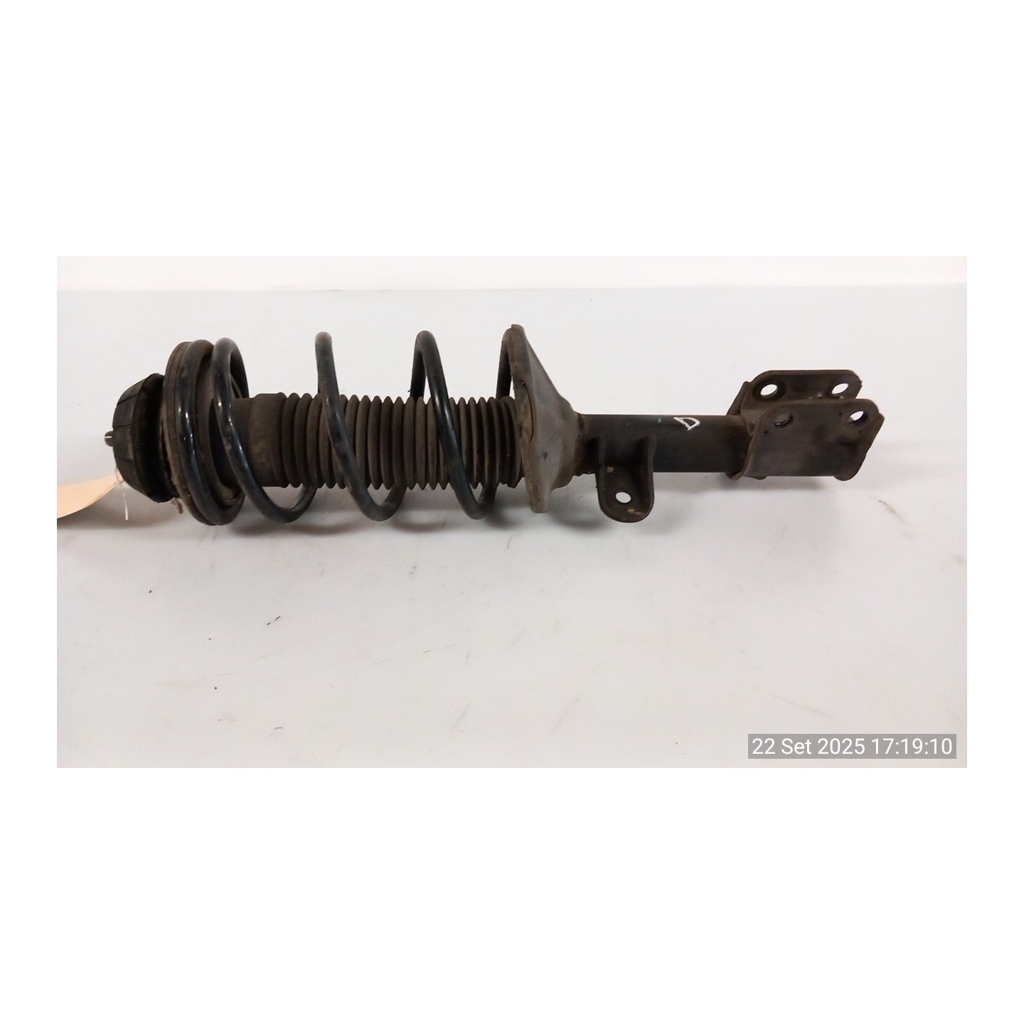 AMMORTIZZATORE ANT. DX. 054 NISSAN PIXO (UA0) (04/09-) K10B 543024A00F