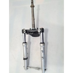 forcella ant. completa Honda DYLAN DYLAN 