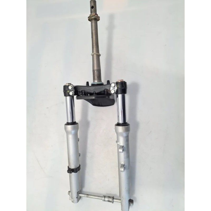 forcella ant. completa Honda DYLAN DYLAN 