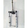 forcella ant. completa Honda DYLAN DYLAN 