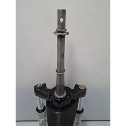 forcella ant. completa Honda DYLAN DYLAN 