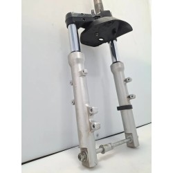 forcella ant. completa Honda DYLAN DYLAN 