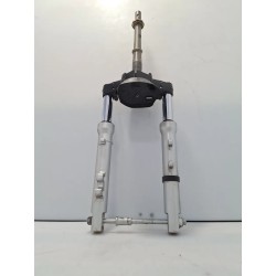 forcella ant. completa Honda DYLAN DYLAN 