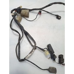Cablaggio impianto elettrico telaio Honda DYLAN DYLAN 