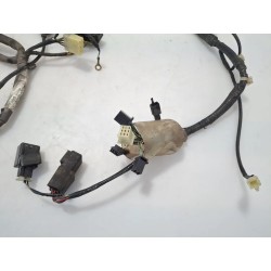 Cablaggio impianto elettrico telaio Honda DYLAN DYLAN 