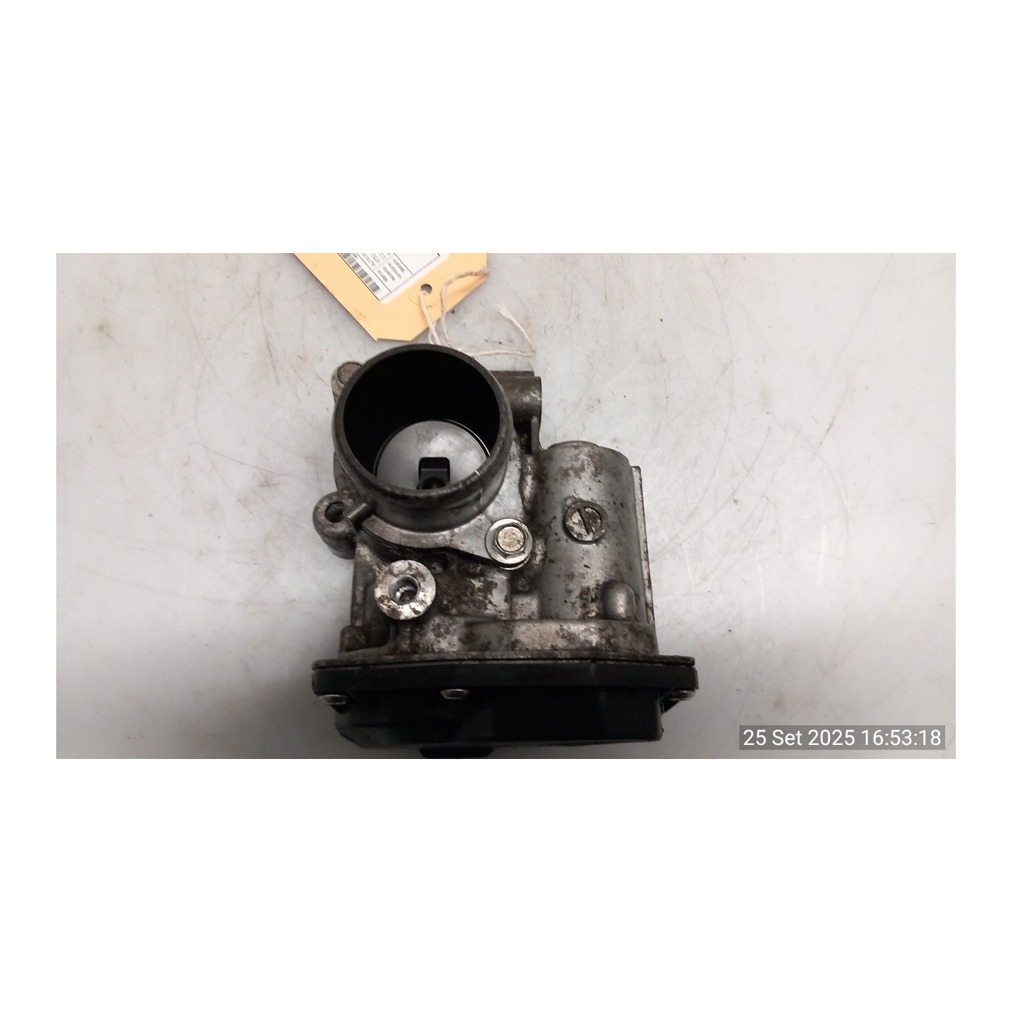 CORPO FARFALLATO 078 ALFA ROMEO STELVIO (6V) (01/17-10/22) 55284529 55278009