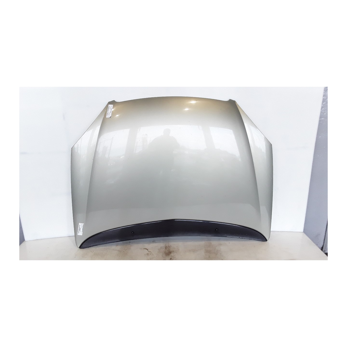 COFANO ANT. 151 CITROEN C5 (03/0109/04) 6FZ 7901H9