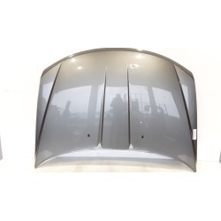 COFANO ANT. 031 FIAT FREEMONT (24) (04/11-) 939B5000...