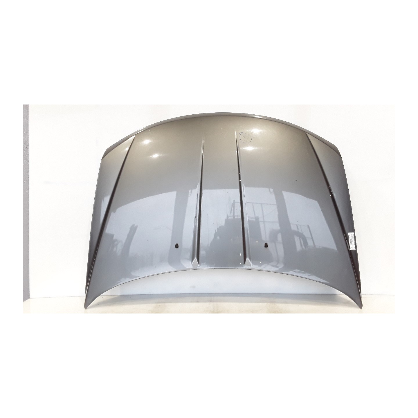COFANO ANT. 031 FIAT FREEMONT (24) (04/11-) 939B5000 K05076777AD