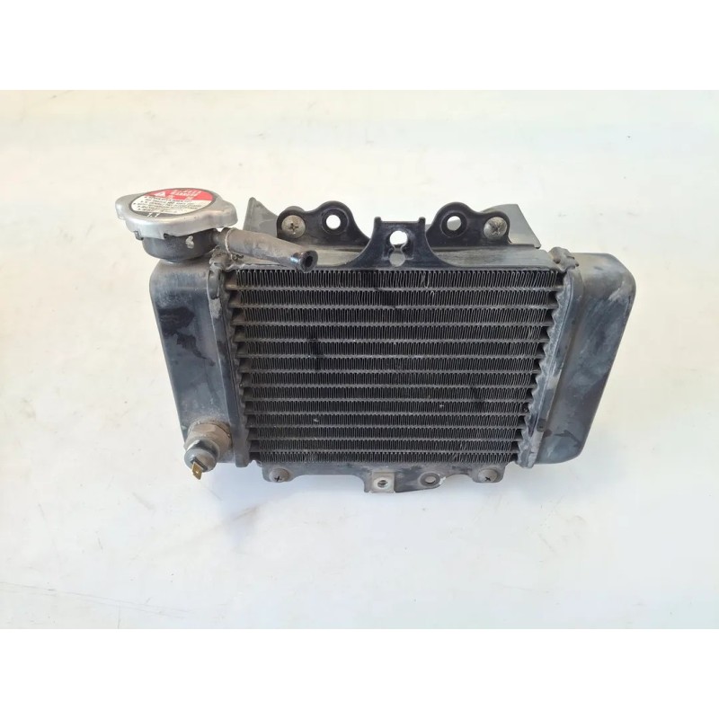 Radiatore Honda SH 150 (E2) SH 150 