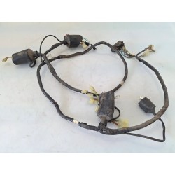 Cablaggio impianto elettrico telaio Honda SH 150 (E2) SH 150 
