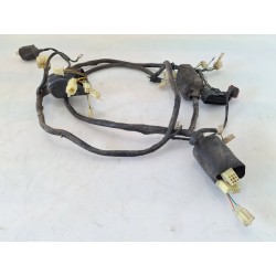 Cablaggio impianto elettrico telaio Honda SH 150 (E2) SH 150 
