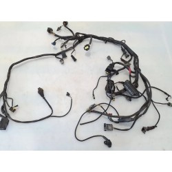 Cablaggio impianto elettrico telaio Ducati Monster 800 Monster 800 