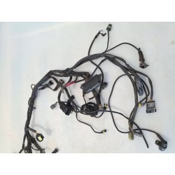 Cablaggio impianto elettrico telaio Ducati Monster 800 Monster 800 