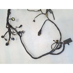 Cablaggio impianto elettrico telaio Ducati Monster 800 Monster 800 