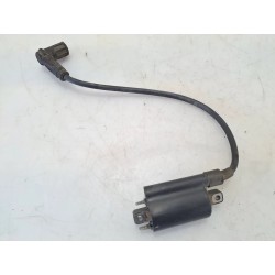 Bobina Ducati Monster 800 Monster 800 