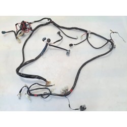 Cablaggio impianto elettrico telaio Aprilia Scarabeo 50 2T Ditech (02-04) Scarabeo 50 IE Ditech 