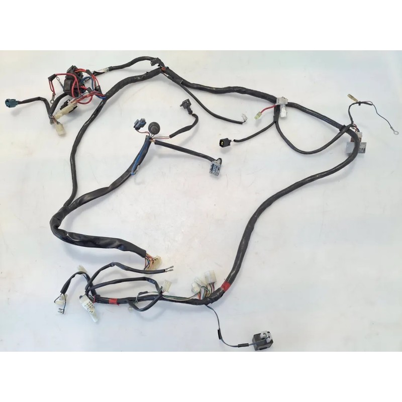 Cablaggio impianto elettrico telaio Aprilia Scarabeo 50 2T Ditech (02-04) Scarabeo 50 IE Ditech 