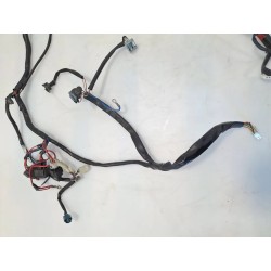 Cablaggio impianto elettrico telaio Aprilia Scarabeo 50 2T Ditech (02-04) Scarabeo 50 IE Ditech 