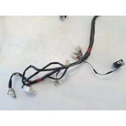 Cablaggio impianto elettrico telaio Aprilia Scarabeo 50 2T Ditech (02-04) Scarabeo 50 IE Ditech 