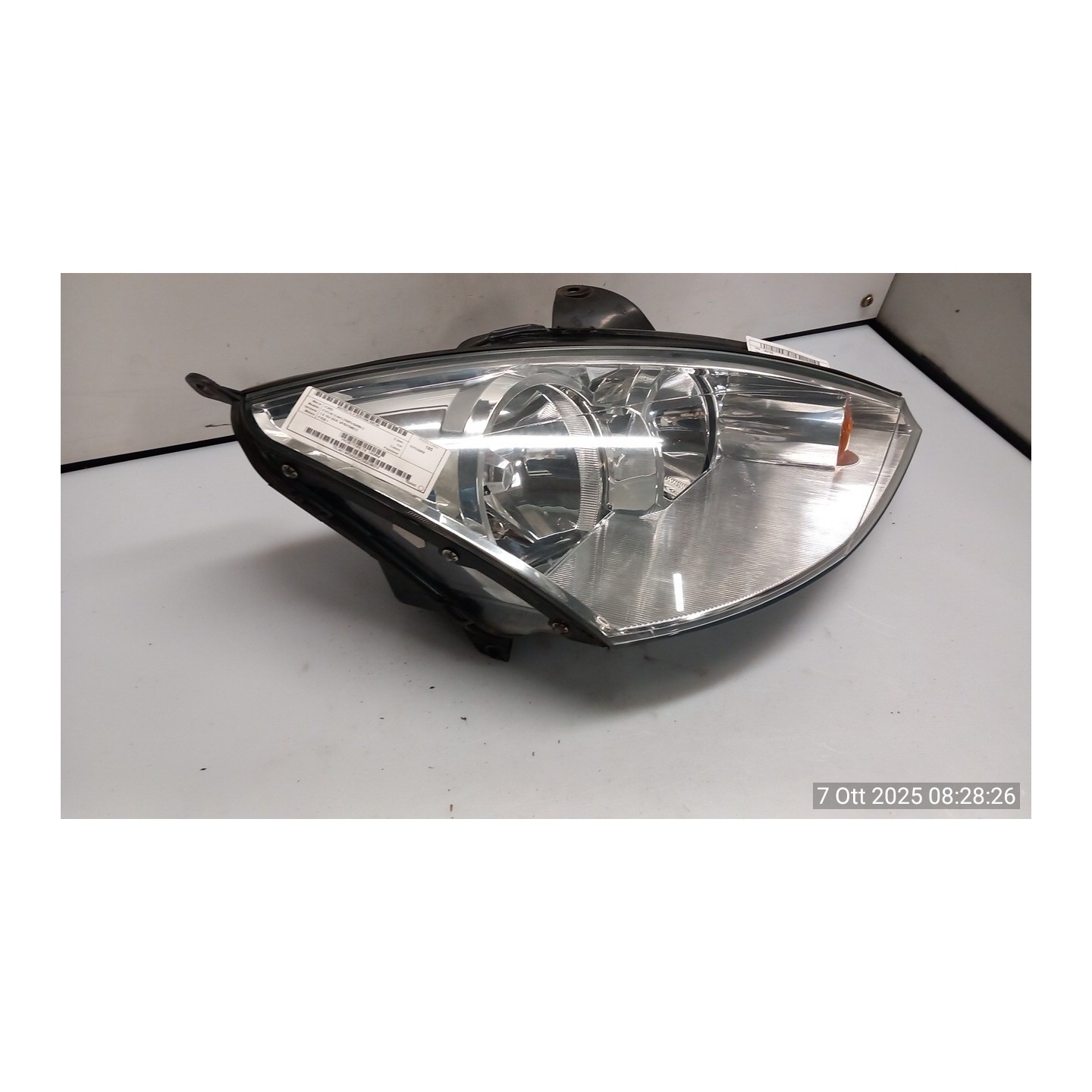 PROIETTORE DX. 145 FORD FOCUS (CAK) (10/01-04/05) FYDB 1343654