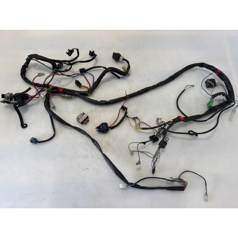 Cablaggio impianto elettrico telaio Aprilia SR 50 (00-04) SR 50 i.e. FD (E1) (Ditech) 