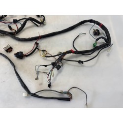 Cablaggio impianto elettrico telaio Aprilia SR 50 (00-04) SR 50 i.e. FD (E1) (Ditech) 