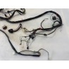 Cablaggio impianto elettrico telaio Aprilia SR 50 (00-04) SR 50 i.e. FD (E1) (Ditech) 