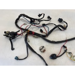 Cablaggio impianto elettrico telaio Aprilia SR 50 (00-04) SR 50 i.e. FD (E1) (Ditech) 