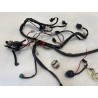 Cablaggio impianto elettrico telaio Aprilia SR 50 (00-04) SR 50 i.e. FD (E1) (Ditech) 