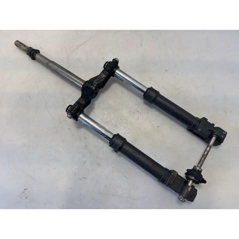 Forcella completo Aprilia SR 50 (00-04) SR 50 i.e. FD (E1) (Ditech) 