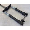Forcella completo Aprilia SR 50 (00-04) SR 50 i.e. FD (E1) (Ditech) 