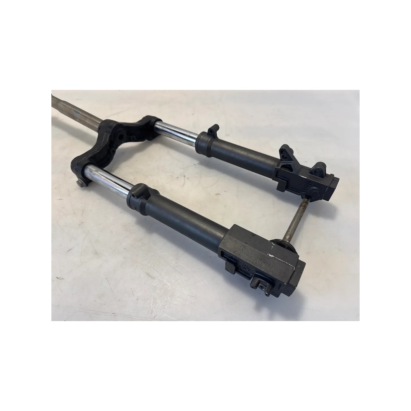Forcella completo Aprilia SR 50 (00-04) SR 50 i.e. FD (E1) (Ditech) 