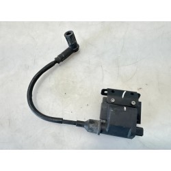 Bobina Aprilia SR 50 (00-04) SR 50 i.e. FD (E1) (Ditech) 