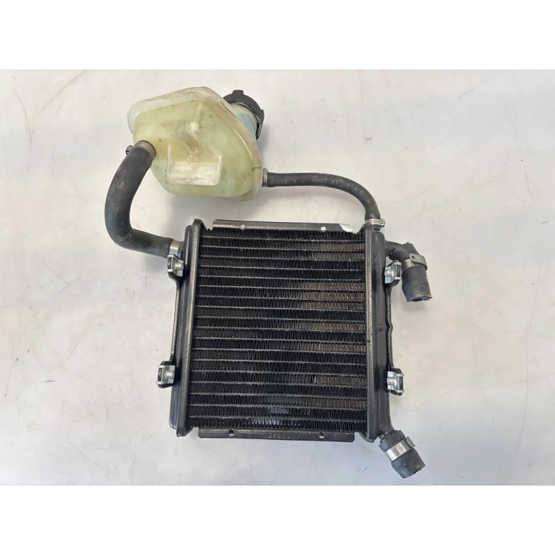 Radiatore Aprilia SR 50 (00-04) SR 50 i.e. FD (E1) (Ditech) 
