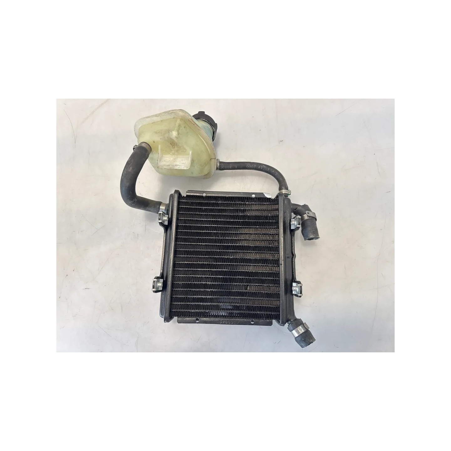 Radiatore Aprilia SR 50 (00-04) SR 50 i.e. FD (E1) (Ditech) 