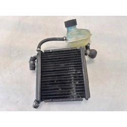 Radiatore Aprilia SR 50 (00-04) SR 50 i.e. FD (E1) (Ditech) 