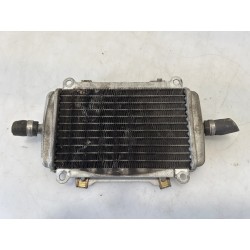 Radiatore Piaggio Vespa 250 GTS Vespa 250 GTS Sinistro