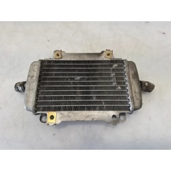 Radiatore Piaggio Vespa 250 GTS Vespa 250 GTS Sinistro