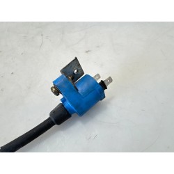 Bobina Piaggio Zip Zip 125 