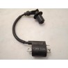 Bobina Malaguti Madison Madison 150 